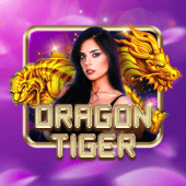 Dragon Tiger Fairplay Casino